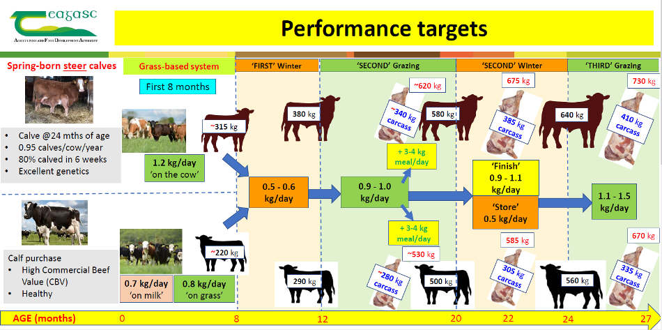 Board 1A Performance targets for resilient beef production