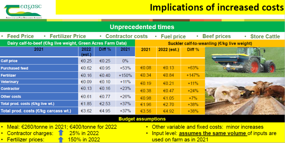 Board4A The implications and options for increased costs on beef farms in 2022
