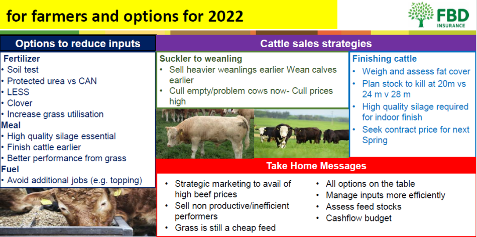 Board4B. The implications and options for increased costs on beef farms in 2022