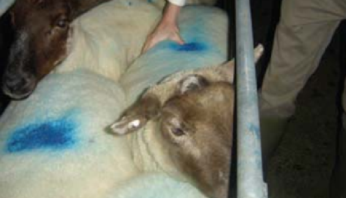 Time to get a handle on condition