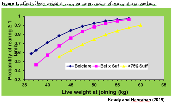 Effect of bodyweight Keady & Hanrahan
