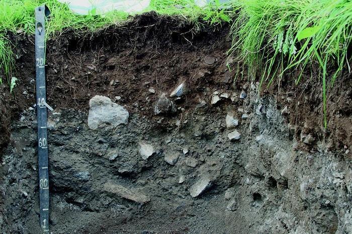 Soil carbon capture - an effective tool to combat climate change