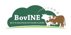 logo for BovINE