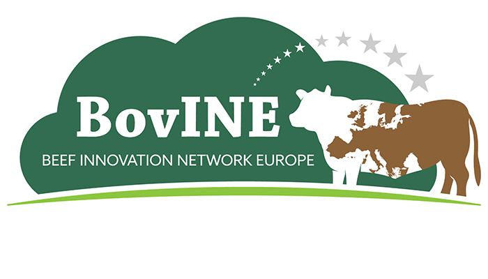 Improving the sustainability of your beef farm: lessons from across Europe - Irish BovINE Beef Meeting

