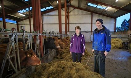 Future Beef Farmer Ed Curtin demonstrates his housing and handling facilities
