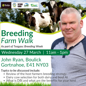 Breeding Farm Walk - John Ryan
