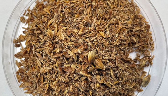 Something to cheers to: the value in beer waste
