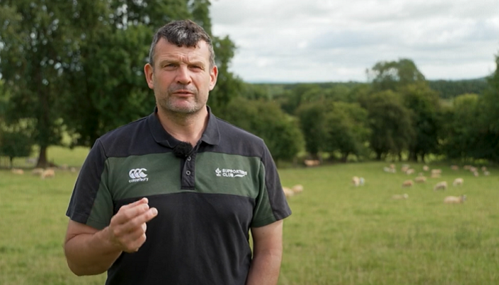 Balancing sheep, beef and tillage – Brian Nicholson’s route to partial organic conversion