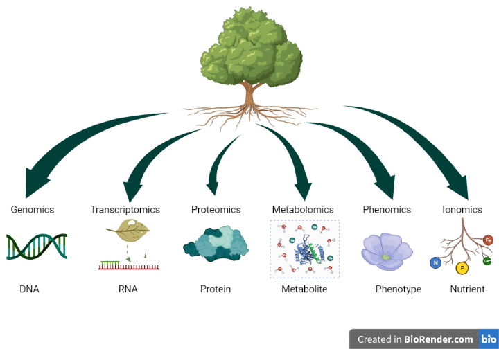Building blocks of OMICS technologies