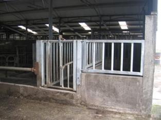 Bull housing