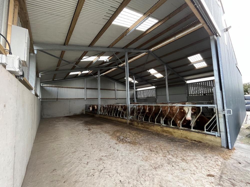New shed