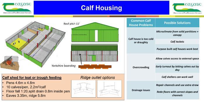 Calf Housing