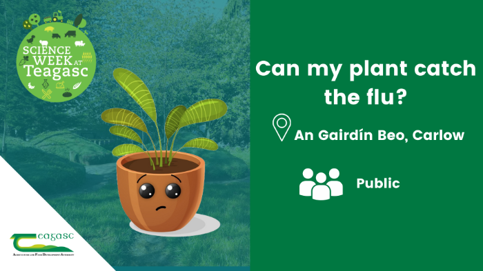 Image of plant looking worried with details of audience and location of event