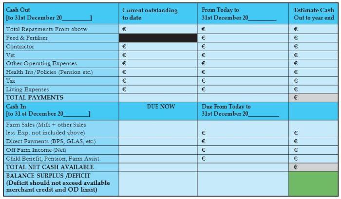 Cash Flow Projection