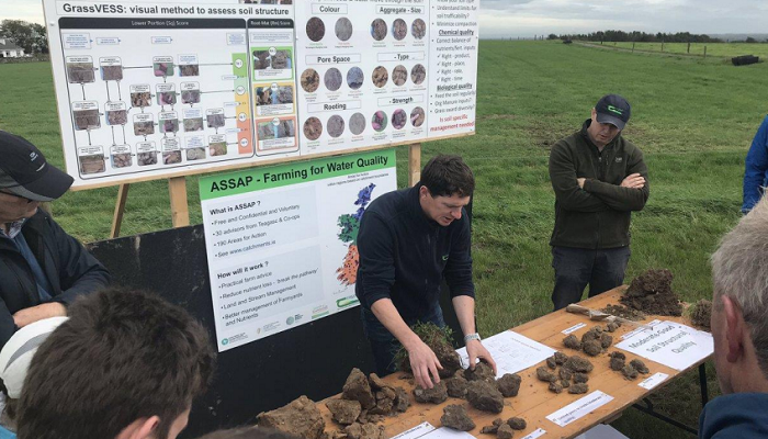 The soil is alive and willing to help
