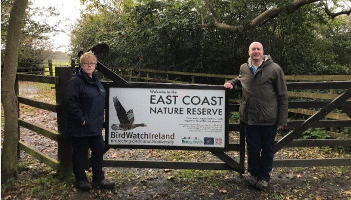 Why birds need hedges