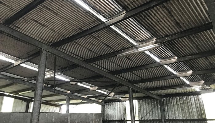 Cattle Housing Ventilation