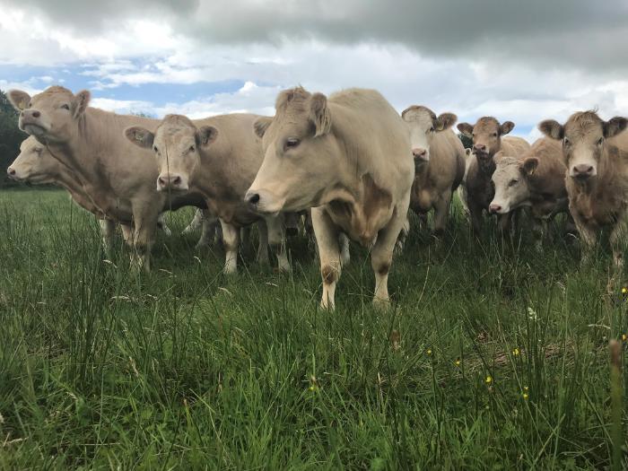 Will Leased land leave money in your pocket in 2024?