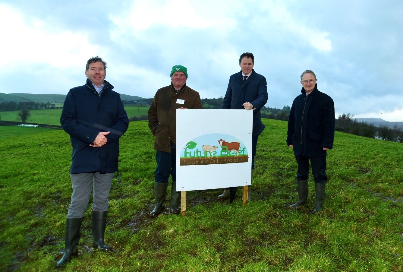 Teagasc Future Beef Programme - Sustainable Cattle Production