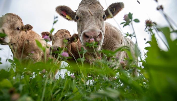 Attention to detail drives earlier finishing