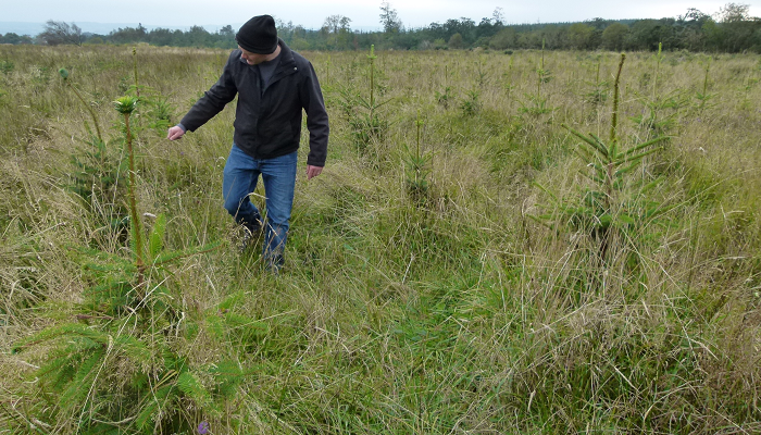 Forestry winter management tasks