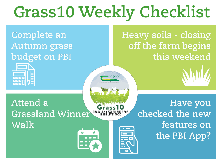 Grass 10 weekly Checklist