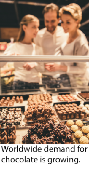 Chocolate Manufacturing Caption Image 1