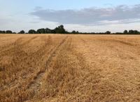 Straw incorporation - its role in achieving net zero on tillage farms
