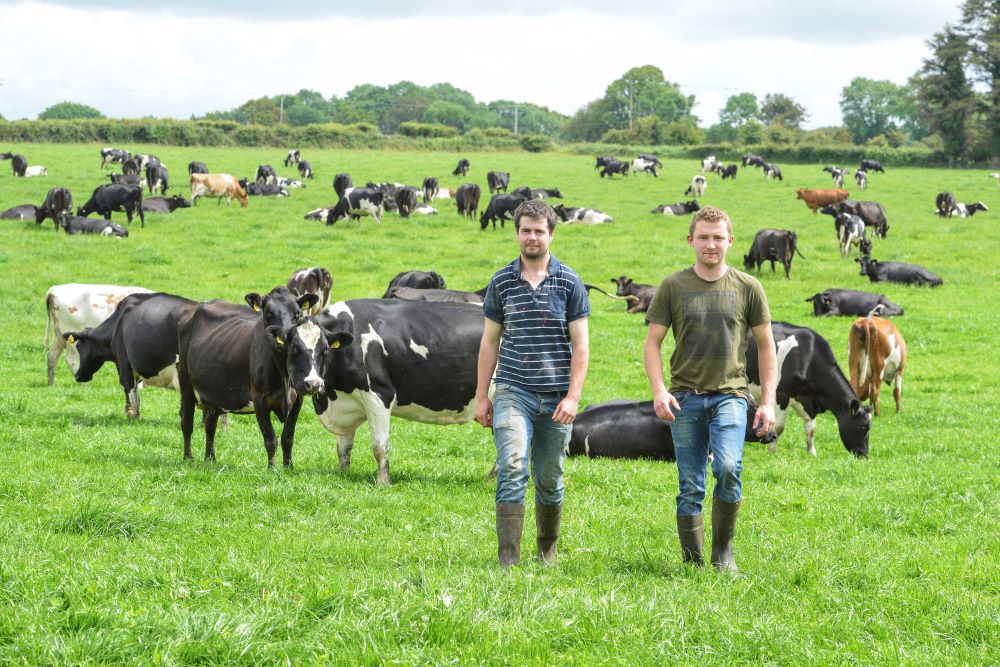Teagasc Professional Diploma in Dairy Farm Management Open for Applications