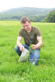 Teagasc Professional Diploma in Dairy Farm Management Open for Applications