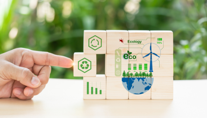 Bridging the Funding Gap: Scaling Innovations in Circular Bioeconomy