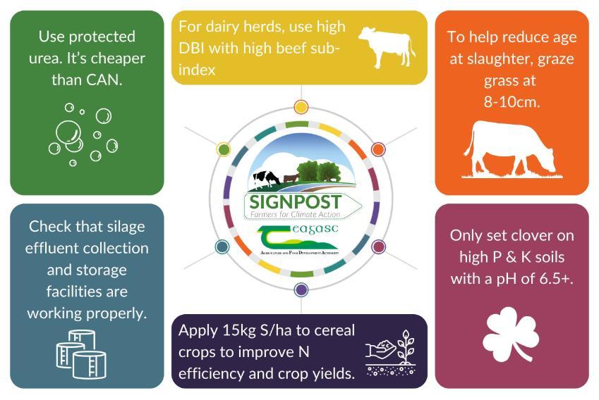 Picture showing climate actions for May, these actions include: using protected urea, using high DBI with high beef sub-index for dairy herds, grazing grass at 8-10cm to help reduce age at slaughter, setting clover on high P & K soils with a pH of at least 6.5, applying 15kg S/ha to cereal crops to improve N efficiency, and checking that silage effluent collection and storage facilities are workin
