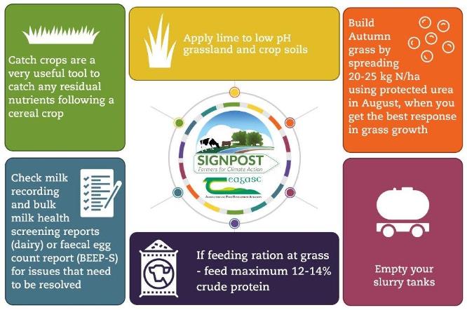 Climate Actions for August