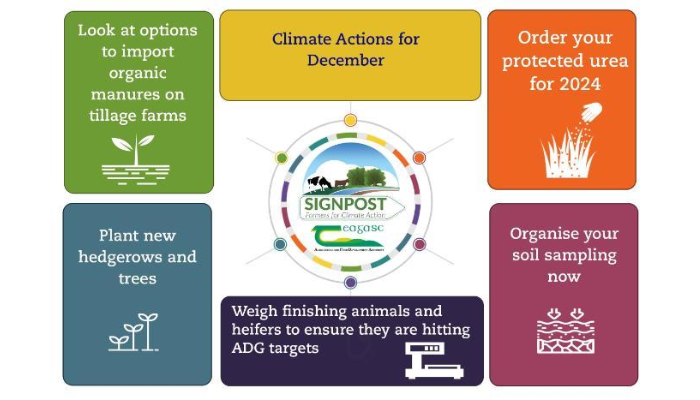 Climate Actions for December