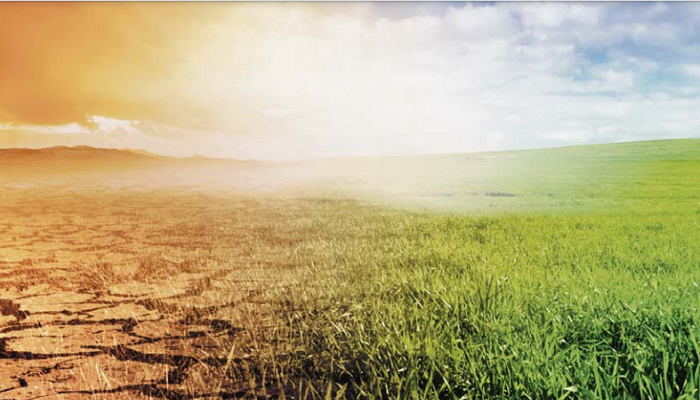 Why are farmers engaging with climate change
