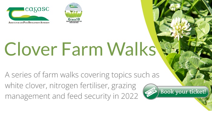 Teagasc Clover Farm Walks