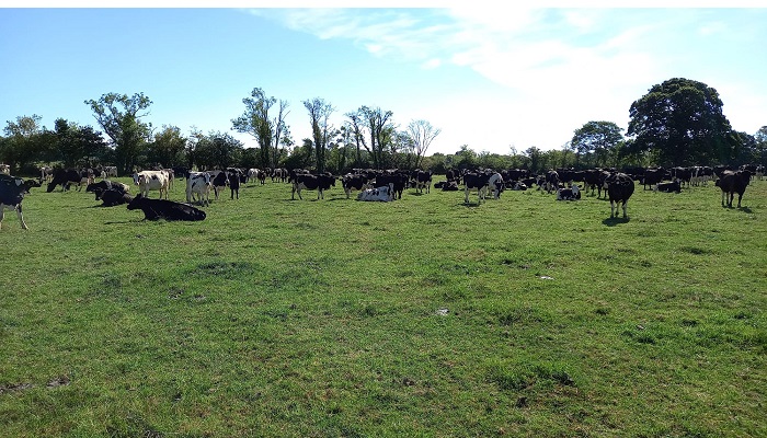 Grass10 Newsletter - 30th August 2022
