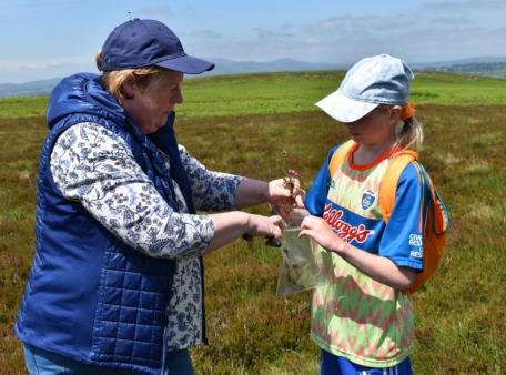 Collecting Plant Samples - Courmarglin