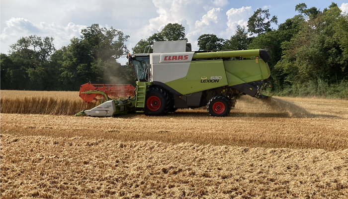 What lies ahead for tillage margins?