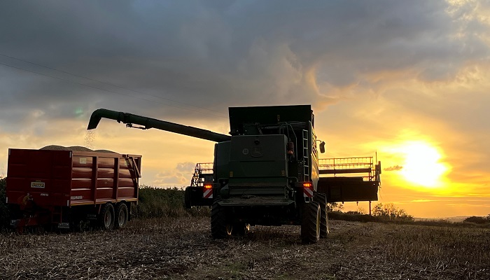Harvest Report: 2024 cereal production estimated to be 1.9mt