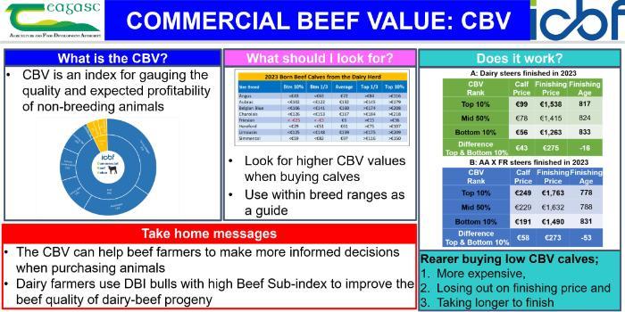 Commercial Beef Value