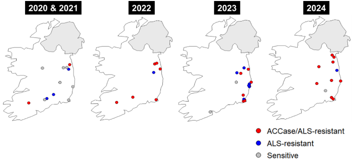 Confirmed cases of resistance in suspect Italian ryegrass populations submitted for testing, by year, since 2020. in 2024 there were 9 cases of ACCase/ALS- resistant populations, greater than in previous years