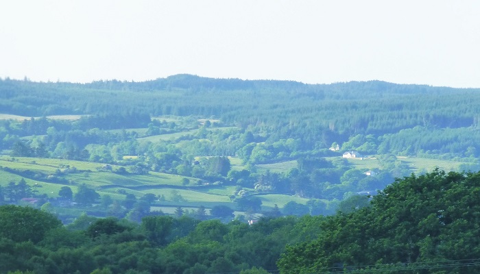 Watch: Timber categories and sales methods - conifer forest management