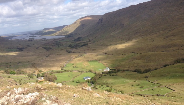 Management of Vegetation on High Nature Value Farmland in Connemara