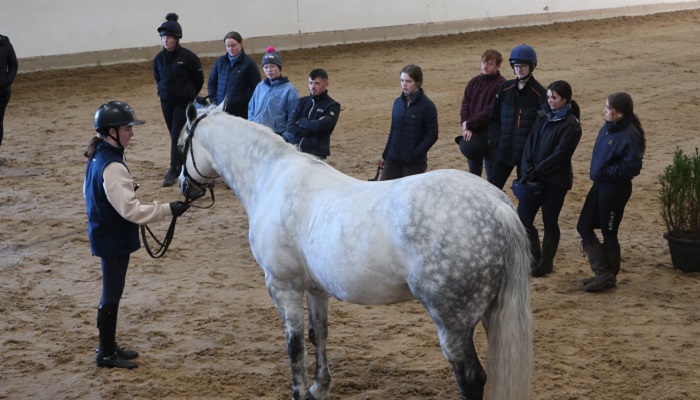 Connemara pony being shown to equine students at Gurteen College