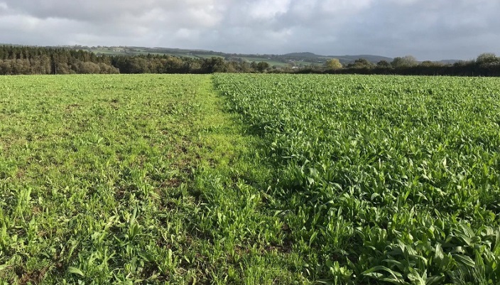 Grass 10 Featured Farmer Conor O'Shea, Co. Kilkenny