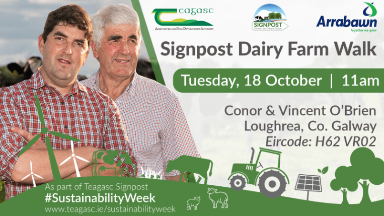 Conor O'Brien farm walk poster