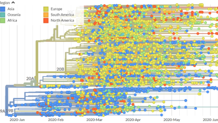 Irish Coronavirus Sequencing Consortium