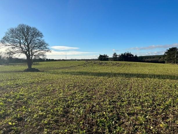 Tillage emissions stable