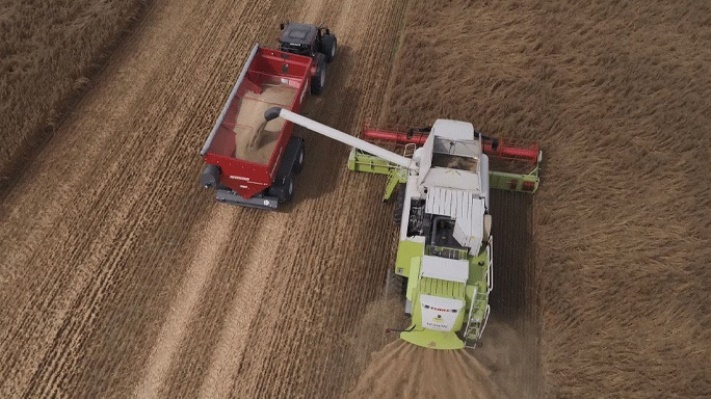 Tillage update - Crop Margins 2023